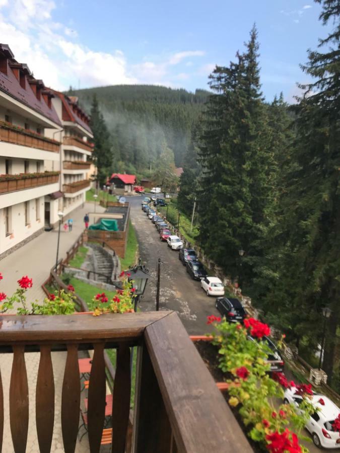 Villa Bonita En Plopilor Sibiu Exteriör bild